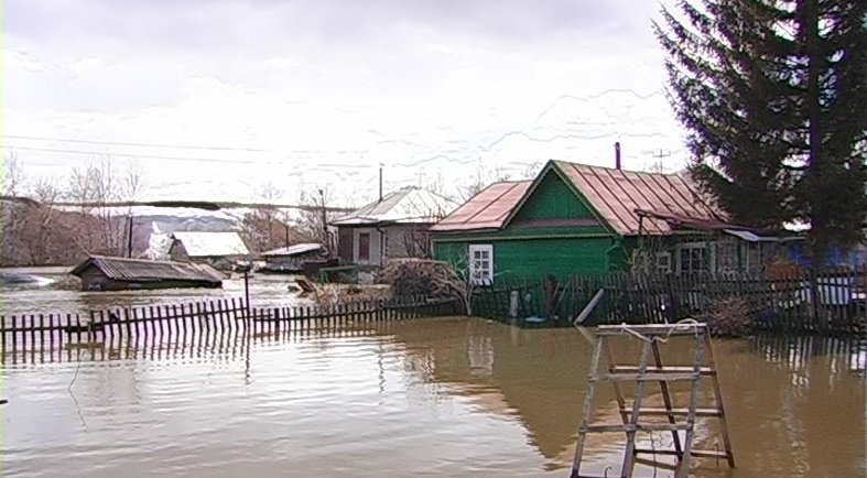 Садовые участки в Новосибирске уходят под воду